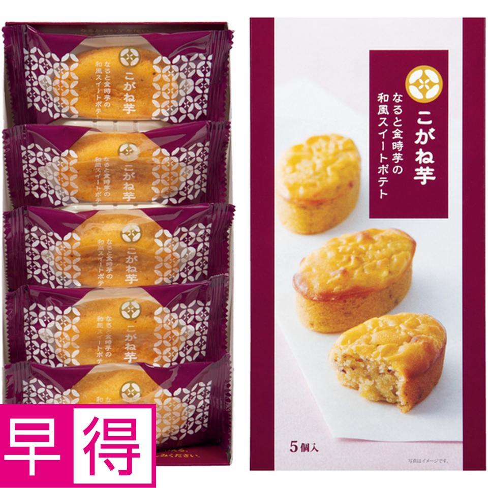 【父の日早得】竹中庭園緑化父の日シトロンブーケ＋ひととえ　こがね芋 商品サムネイル