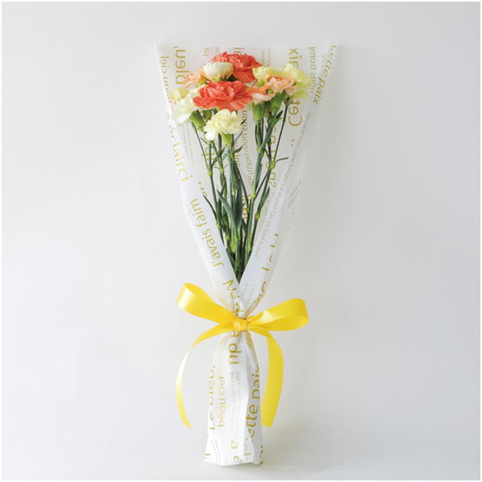 【父の日早得】竹中庭園緑化父の日シトロンブーケ+ひととえ こがね芋 商品画像(1)