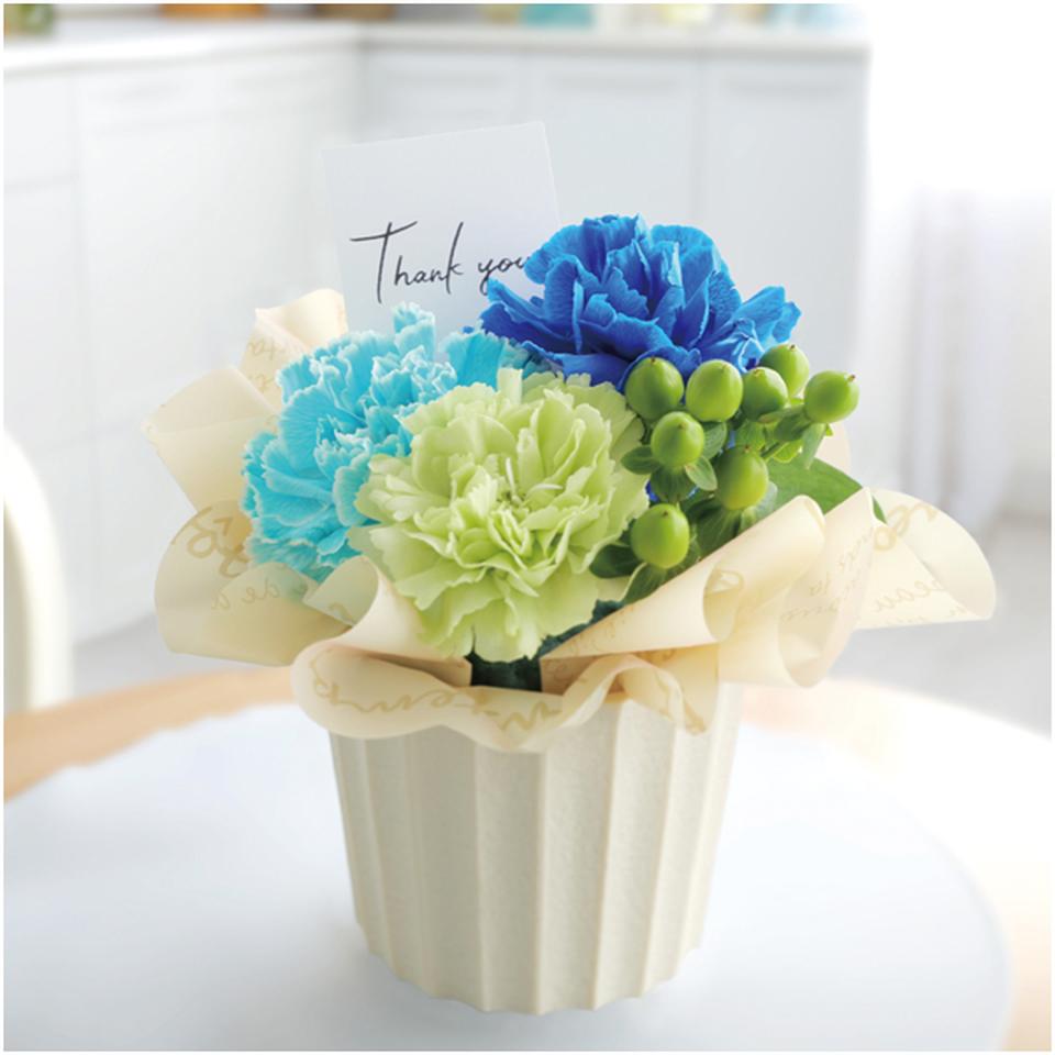 【父の日早得】竹中庭園緑化父の日カーネーションアレンジ+ひととえ キュートセレクション 商品画像(2)