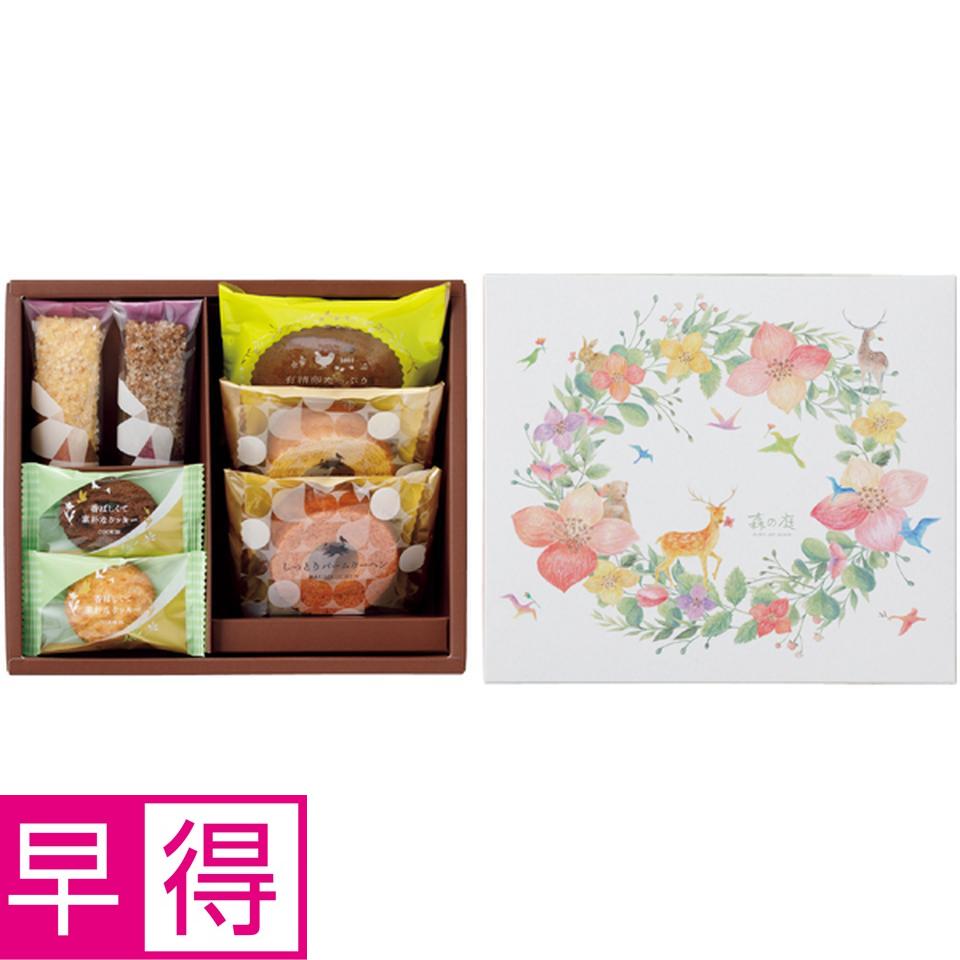 【父の日早得】竹中庭園緑化父の日カーネーションアレンジ＋森の庭　焼菓子 商品サムネイル