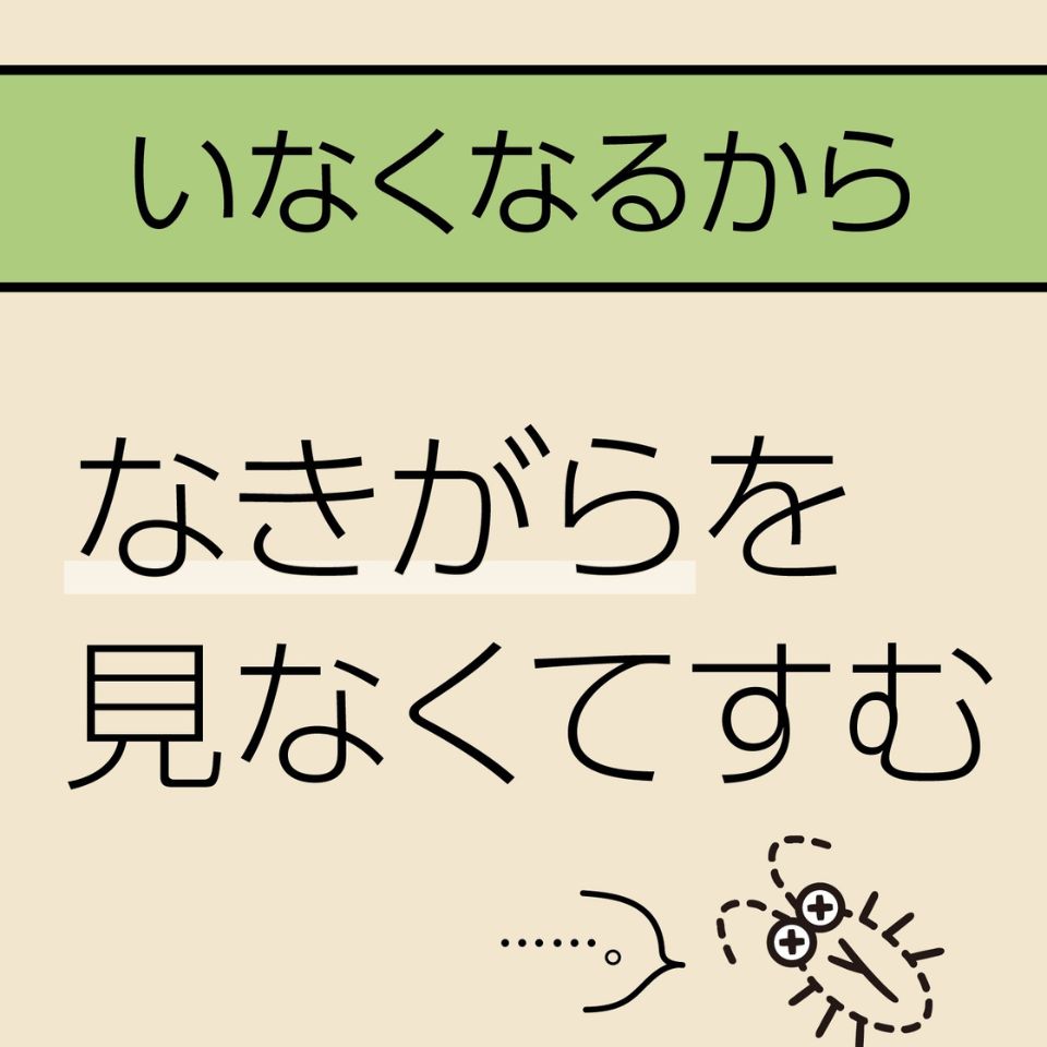 【アース製薬】マモルーム ゴキブリ用 2ヵ月用セット 商品画像(2)