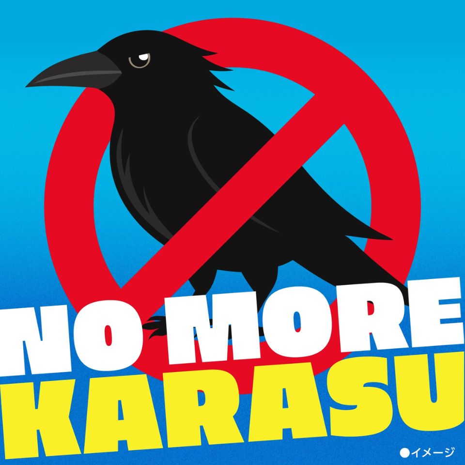 【アース製薬】アースガーデン カラス立入禁止スプレー 480ml 商品画像(1)