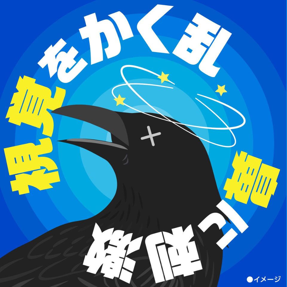 【アース製薬】アースガーデン カラス立入禁止スプレー 480ml 商品画像(3)