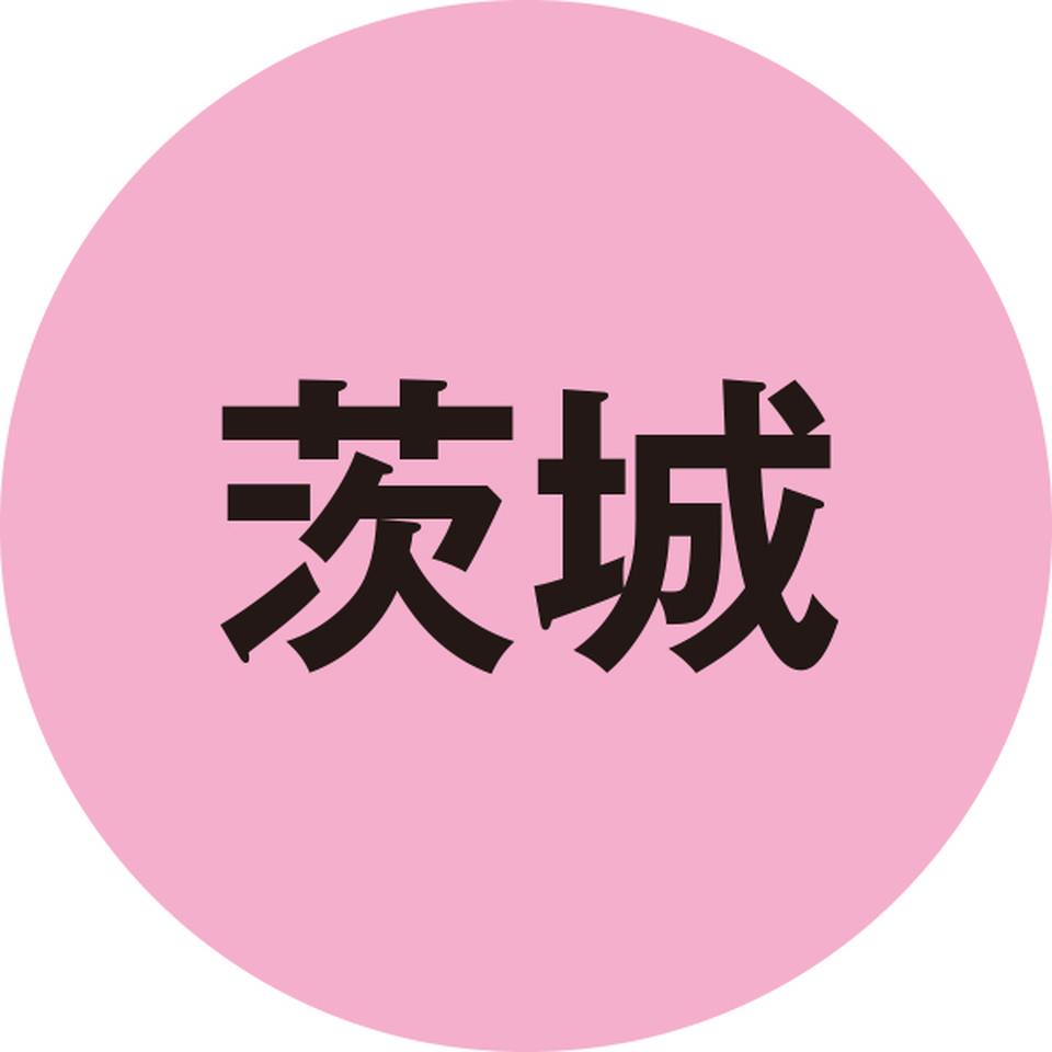 【お歳暮 ギフト早得】 常陸牛ロースすきやき用 商品画像(5)