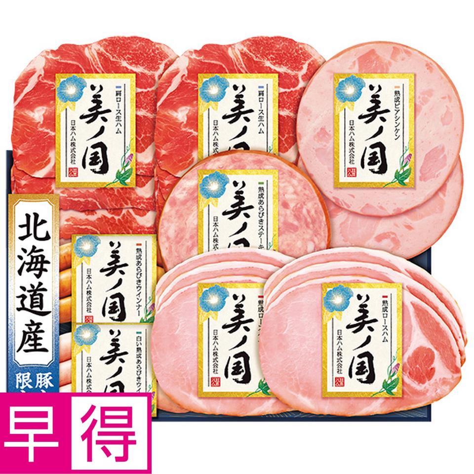 【夏の贈りもの早得】日本ハム　北海道　プレミアム　美ノ国　型番：ＵＫＨ－４８ 商品サムネイル