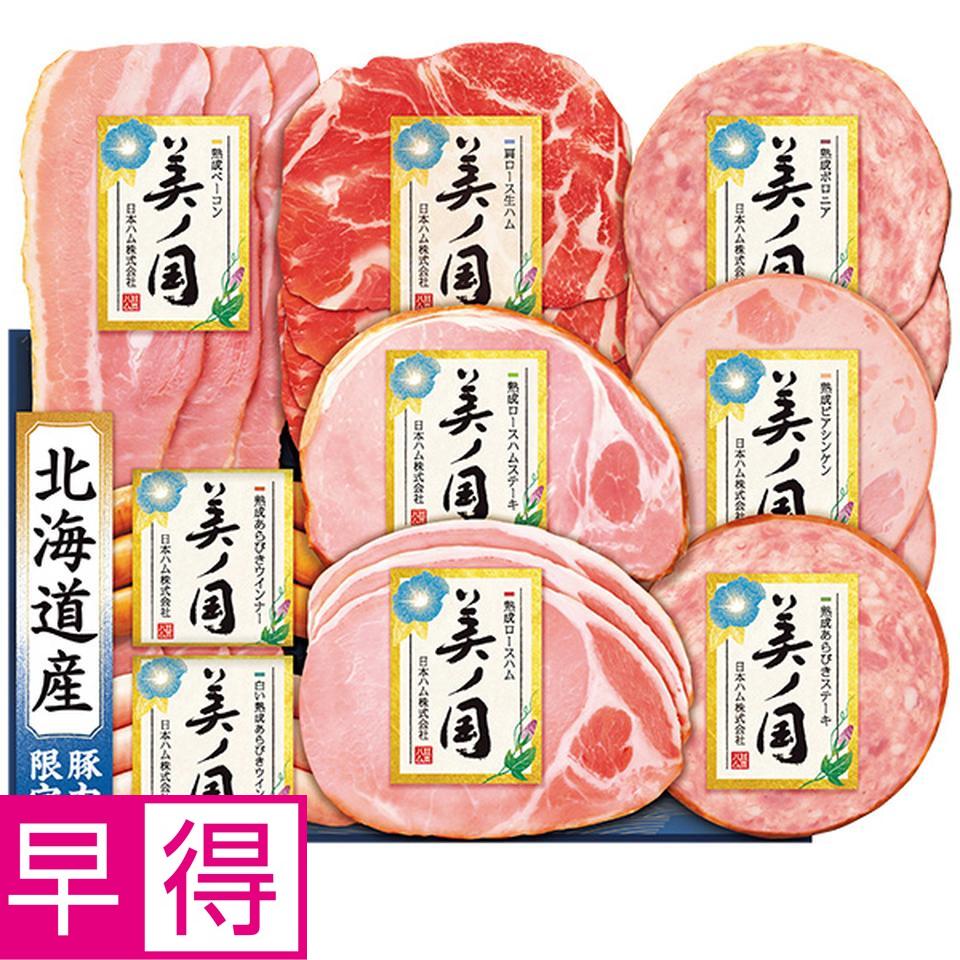 【夏の贈りもの早得】日本ハム　北海道　プレミアム　美ノ国　型番：ＵＫＨ－５８ 商品サムネイル