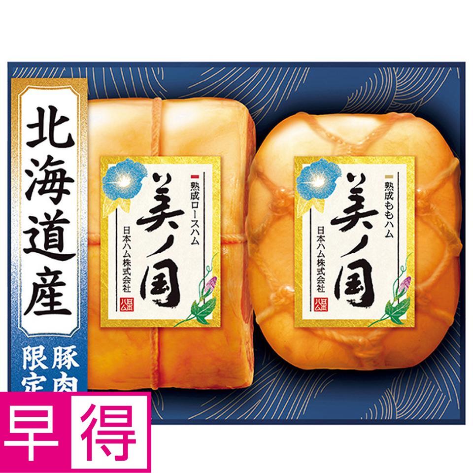 【夏の贈りもの早得】日本ハム　北海道　プレミアム　美ノ国　型番：ＵＫＨ－５５ 商品サムネイル