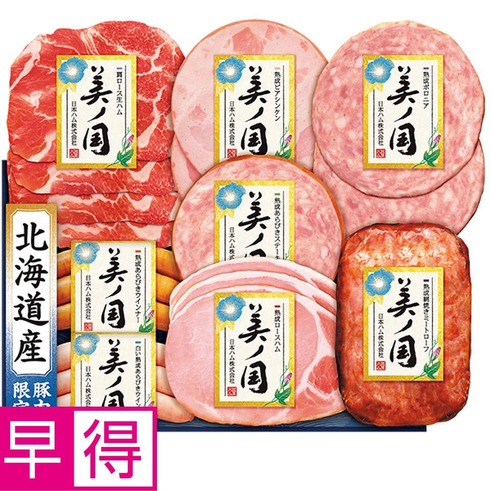 【夏の贈りもの早得】日本ハム　北海道　プレミアム　美ノ国　型番：ＵＫＨ－４５ 商品サムネイル