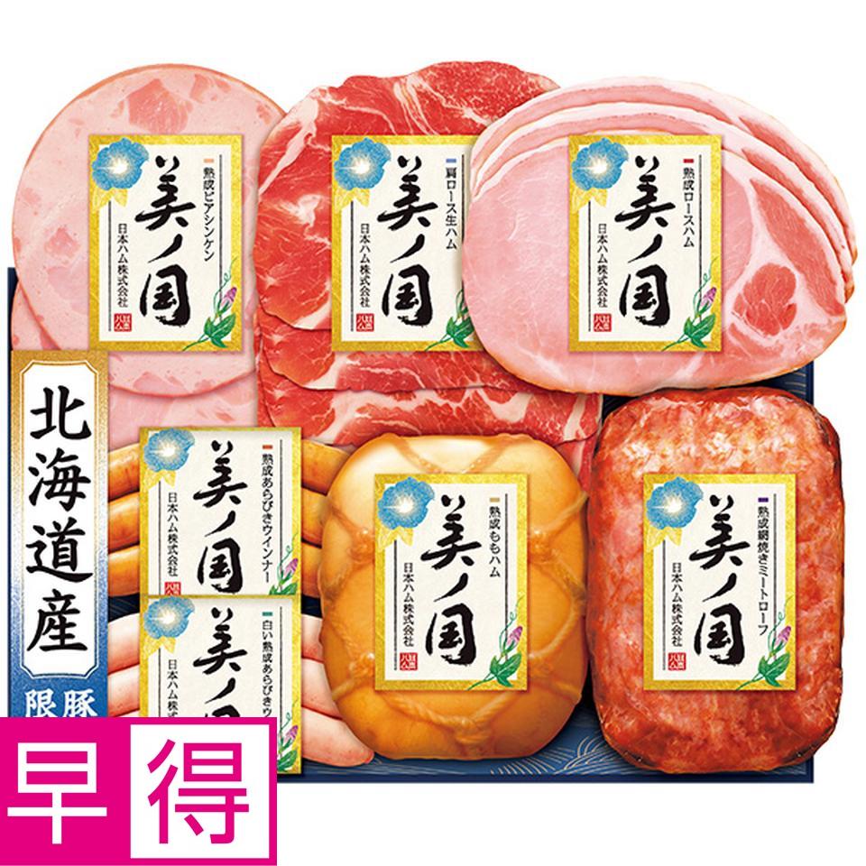 【夏の贈りもの早得】日本ハム　北海道　プレミアム　美ノ国　型番：ＵＫＨ－５３ 商品サムネイル