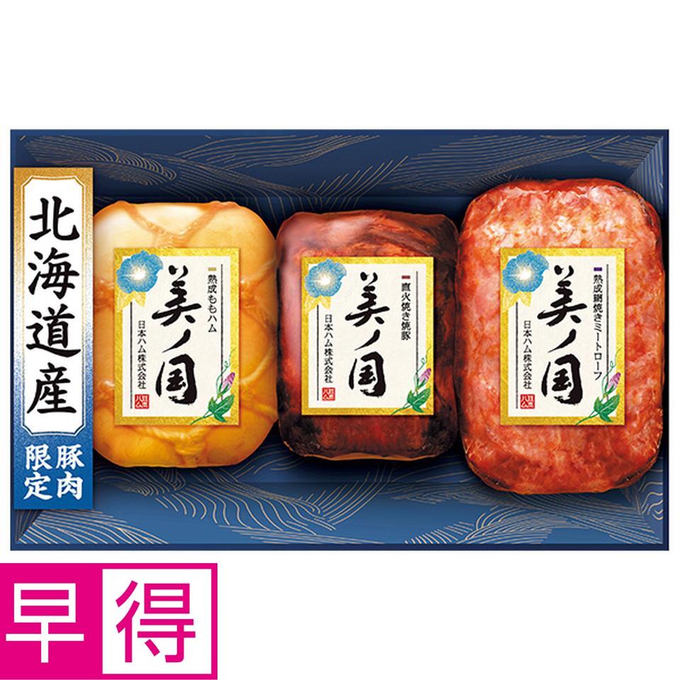 【夏の贈りもの早得】日本ハム　北海道　プレミアム　美ノ国　型番：ＵＫＨ－４９ 商品サムネイル