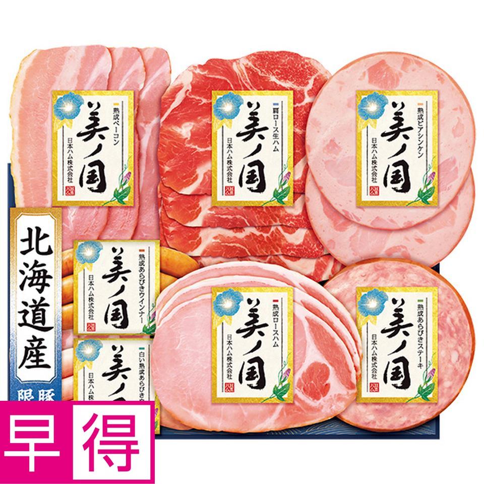 【夏の贈りもの早得】日本ハム　北海道　プレミアム　美ノ国　型番：ＵＫＨ－３８ 商品サムネイル