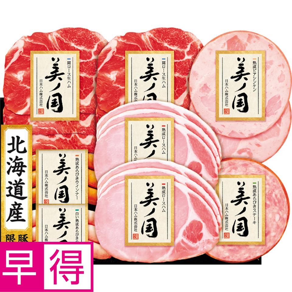 【お歳暮 ギフト早得】日本ハム 北海道　プレミアム　美ノ国 型番：ＵＫＨ－４８ 商品サムネイル