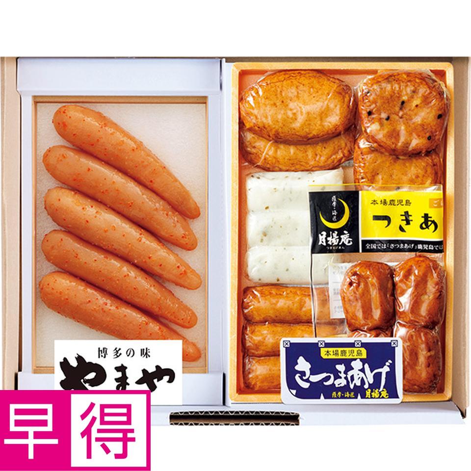 【夏の贈りもの早得】やまや　無着色辛子明太子、さつま揚げセット 商品サムネイル