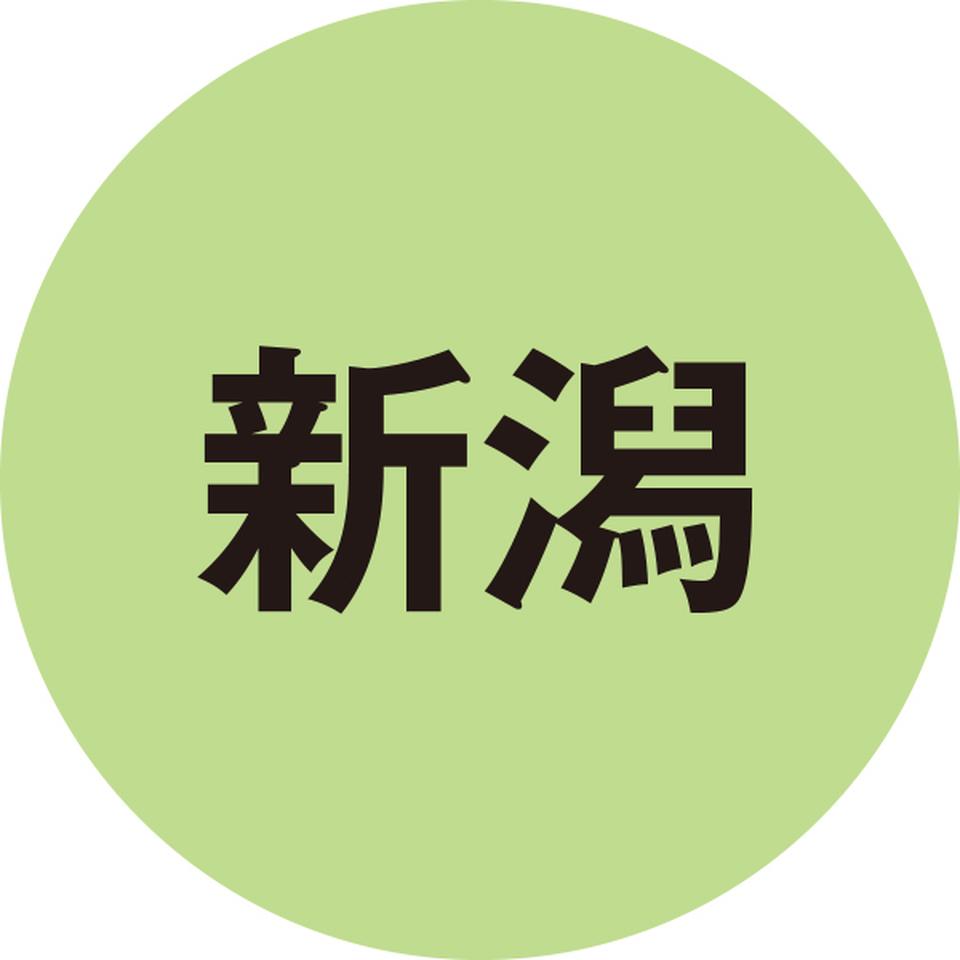 【お歳暮 ギフト】新潟県産豚肉ロース味噌漬けセット 商品画像(6)