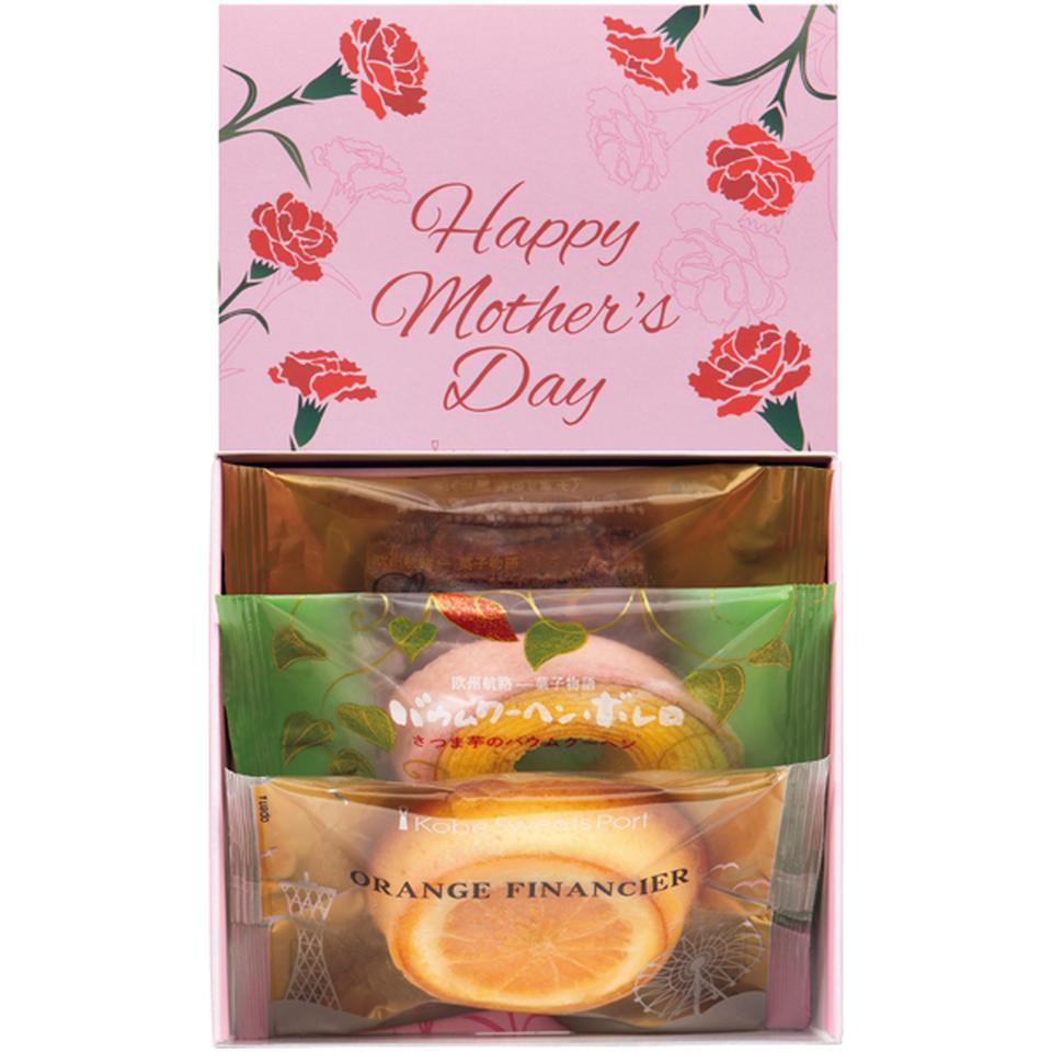 【母の日早得】アサミグリーンプランツカーネーション「ホットハート」（ＳＵＳＴＥＥ付）＋神戸スイーツポート　母の日焼き菓子セット 商品サムネイル