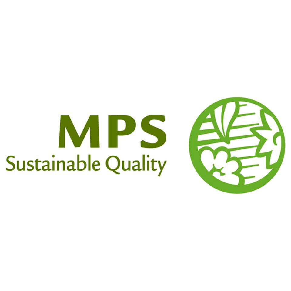 【母の日早得】アサミグリーンプランツカーネーションの寄せ植え(SUSTEE付)+神戸スイーツポート 母の日焼き菓子セット 商品画像(6)