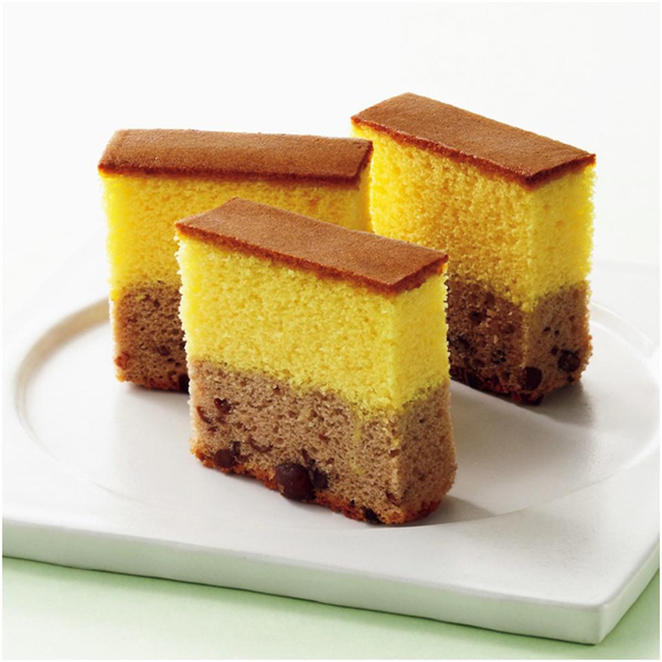 【母の日早得】アサミグリーンプランツカーネーションの寄せ植え(SUSTEE付)+和泉屋 カステラ「綺麗菓」 商品画像(1)