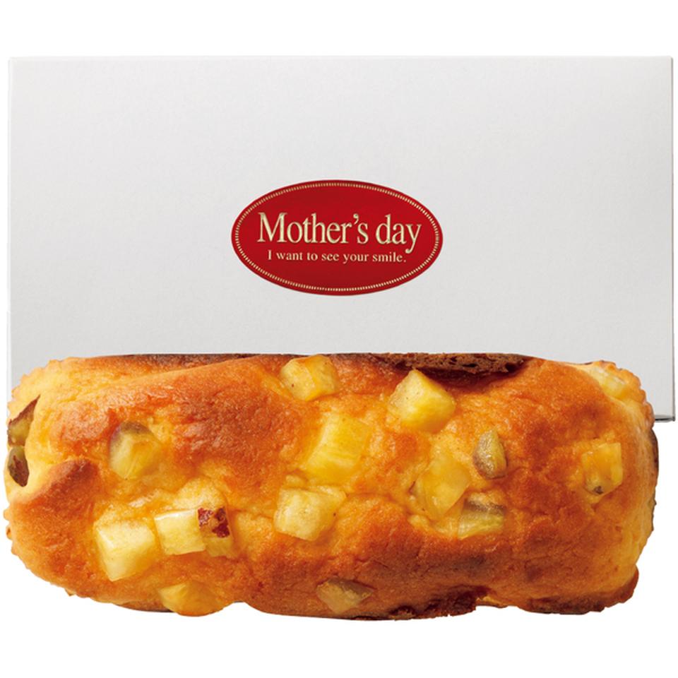 【母の日早得】アサミグリーンプランツカーネーションの寄せ植え（ＳＵＳＴＥＥ付）＋東京堂　芋パウンドケーキ 商品サムネイル