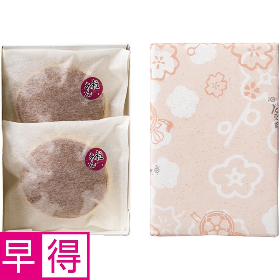 【父の日早得】ＳＵＮＣＯＦインテリアグリーンの寄せ植え（ＳＵＳＴＥＥ付）＋花菓蔵の粒あんどら焼き 商品サムネイル