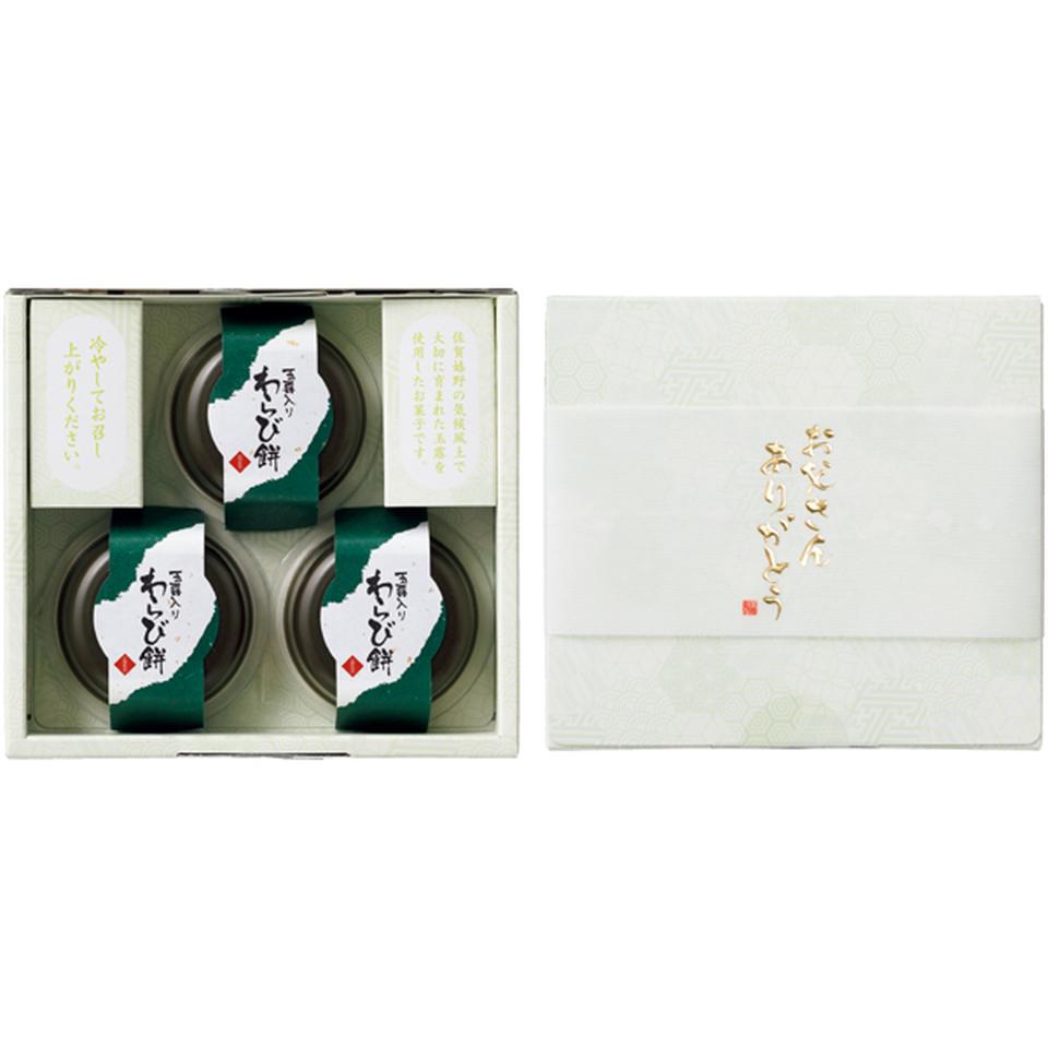 【父の日】ＳＵＮＣＯＦインテリアグリーンの寄せ植え（ＳＵＳＴＥＥ付）＋太田製茶　玉露入りわらび餅 商品サムネイル