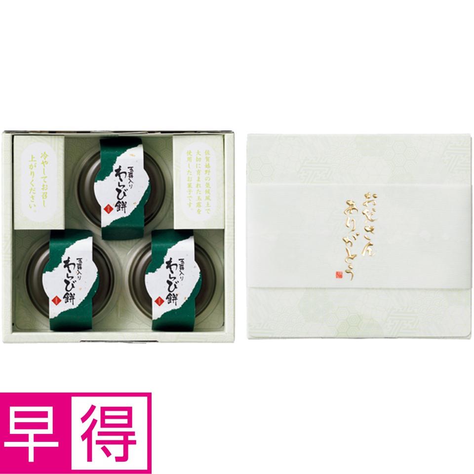 【父の日早得】ＳＵＮＣＯＦインテリアグリーンの寄せ植え（ＳＵＳＴＥＥ付）＋太田製茶　玉露入りわらび餅 商品サムネイル