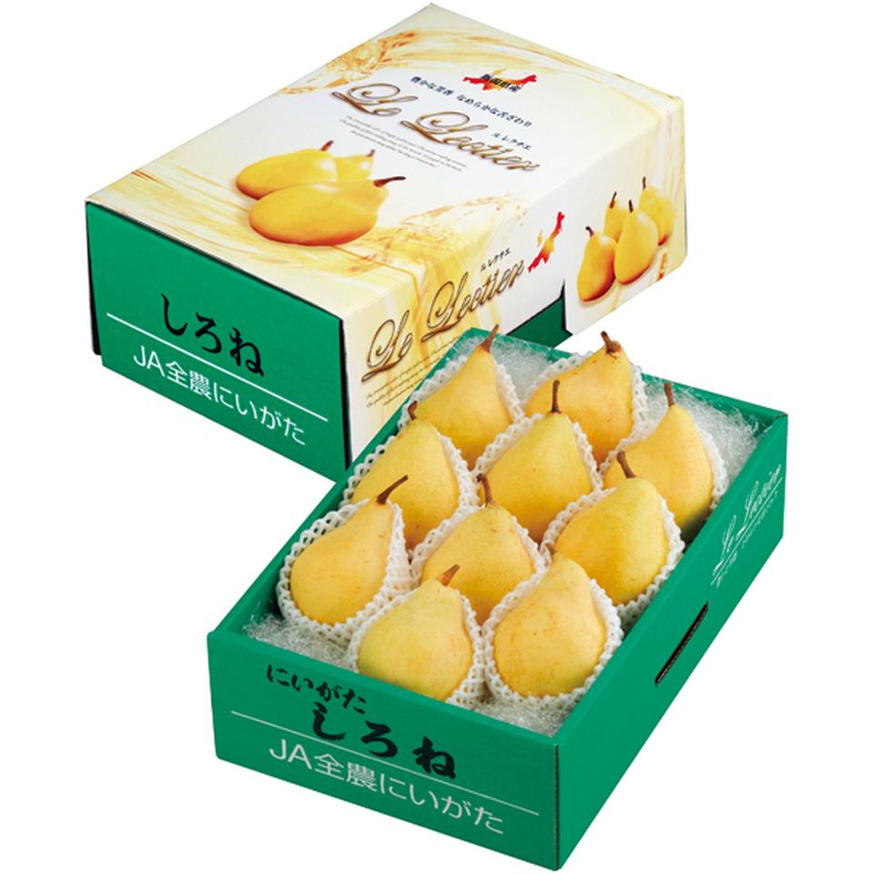 【冬の贈りもの】新潟県産（ＪＡ新潟かがやき） フルーツフラワーしろねのル　レクチエ　７～１１個、計２．９ｋｇ以上 商品サムネイル