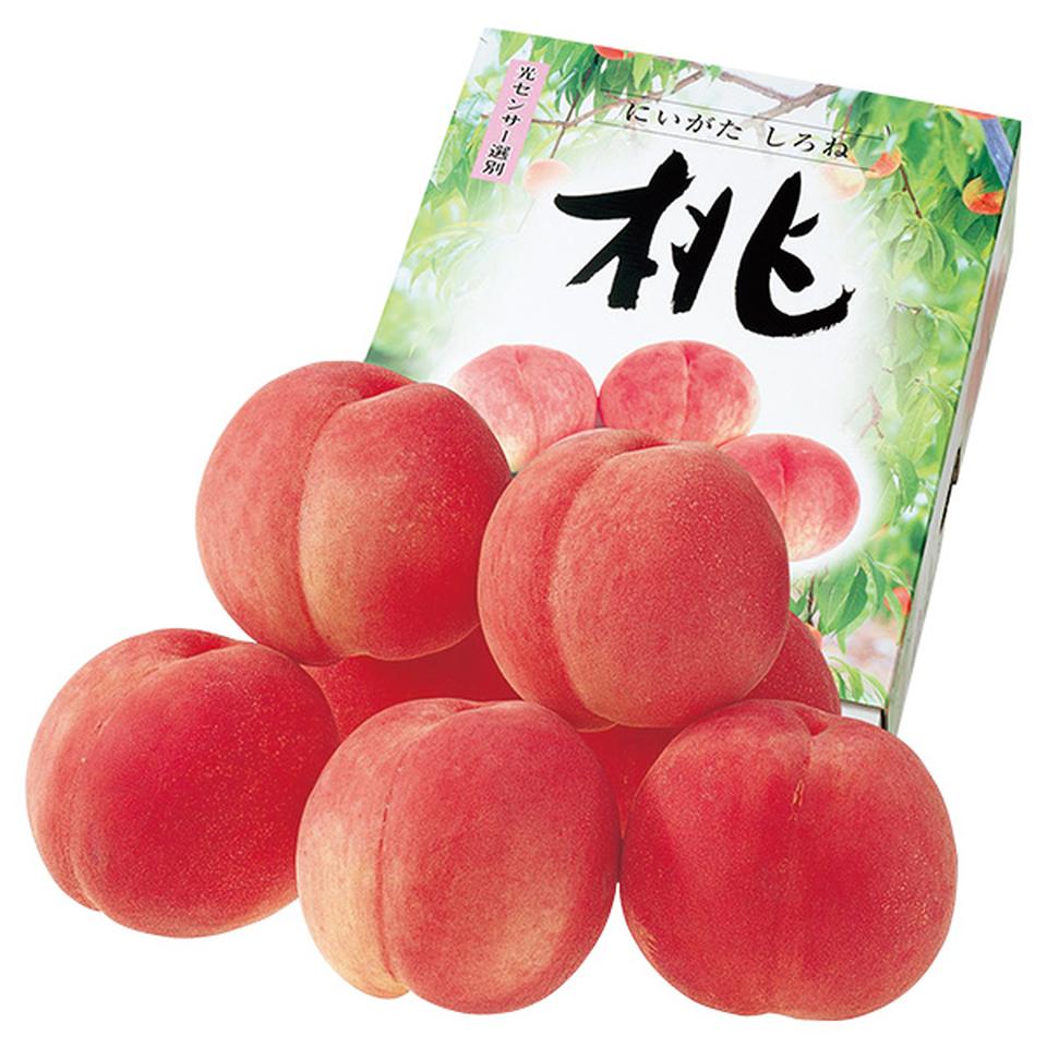 【夏の贈りもの】新潟県産（ＪＡ新潟かがやき）　フルーツフラワーしろねのもも 商品サムネイル