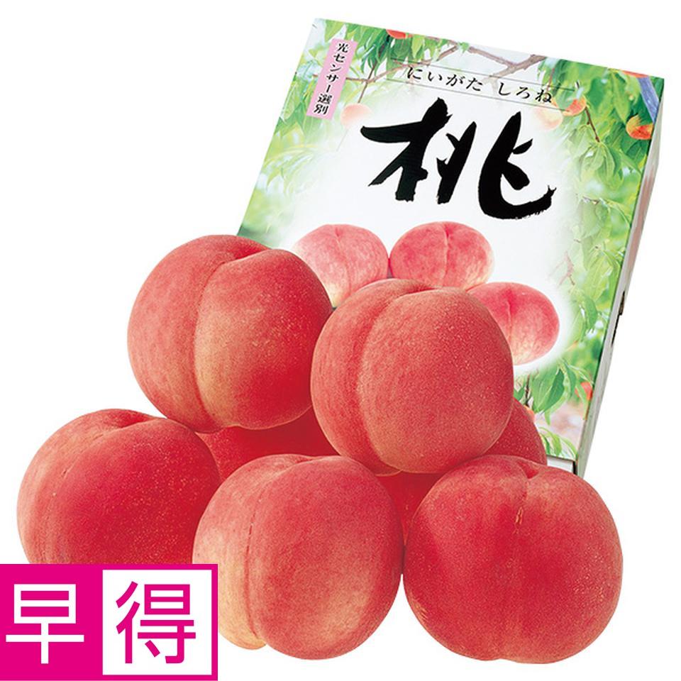 【夏の贈りもの早得】新潟県産（ＪＡ新潟かがやき）　フルーツフラワーしろねのもも 商品サムネイル