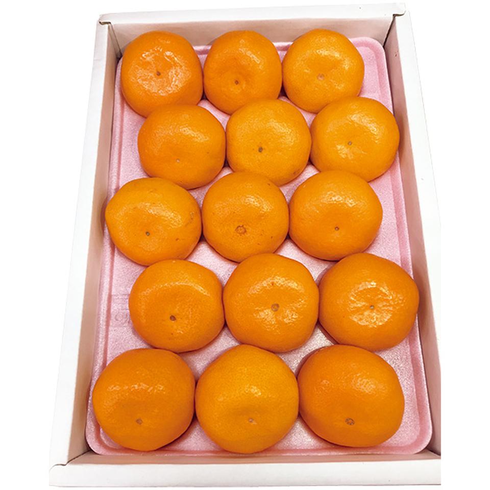 【夏の贈りもの】和歌山県産　ハウスみかん 商品サムネイル