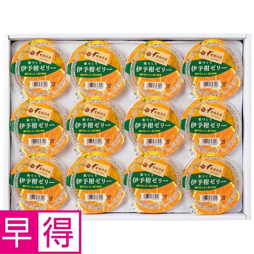 【夏の贈りもの早得】えひめ中央農協　寒づくり伊予柑ゼリー 商品サムネイル