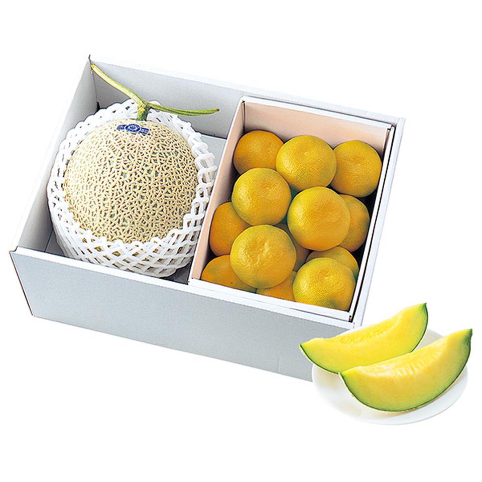 【夏の贈りもの】熊本県産　アールスメロン＆ハウスみかん 商品サムネイル