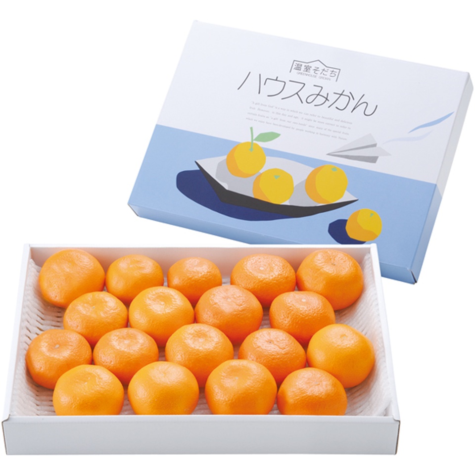 【夏の贈りもの】熊本県産 ハウスみかん 商品サムネイル