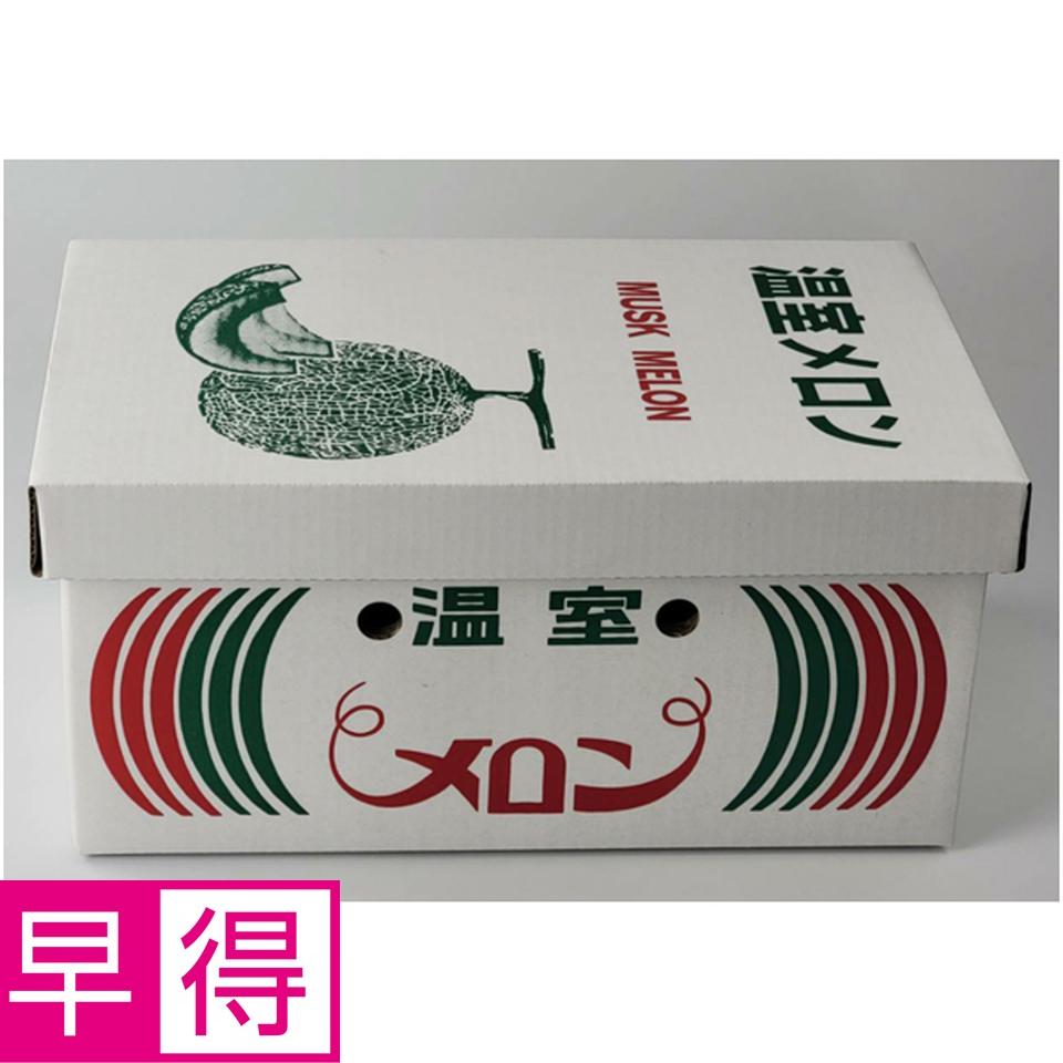 【母の日早得】熊本県産母　アールスメロン 商品サムネイル