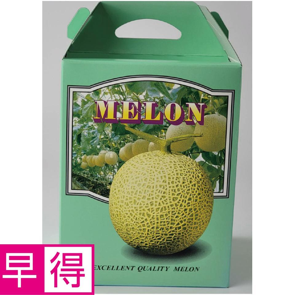 【母の日早得】熊本県産母　アールスメロン 商品サムネイル