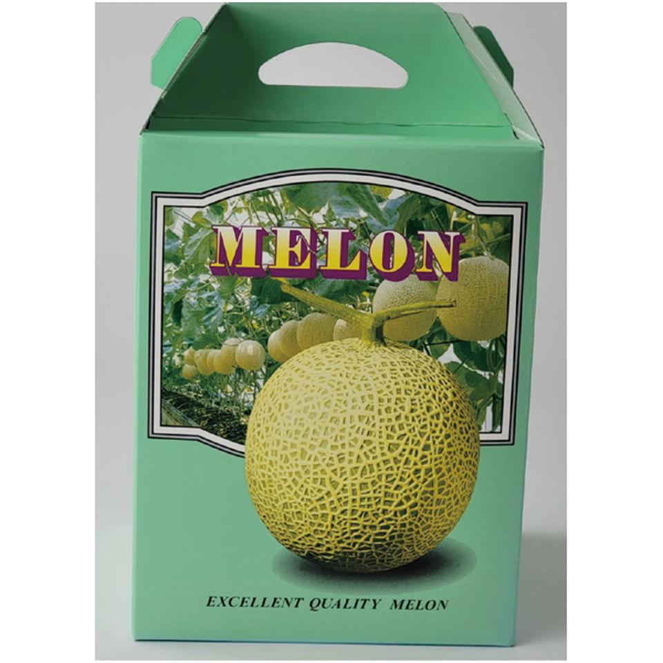 【母の日早得】熊本県産母　アールスメロン 商品サムネイル