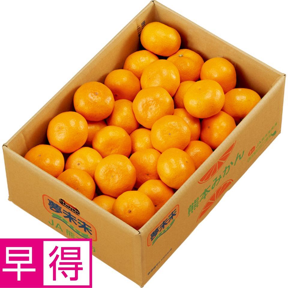【お歳暮 ギフト早得】熊本県産 夢未来みかん Ｓ又はＭ又はＬサイズ、計４ｋｇ以上 商品サムネイル