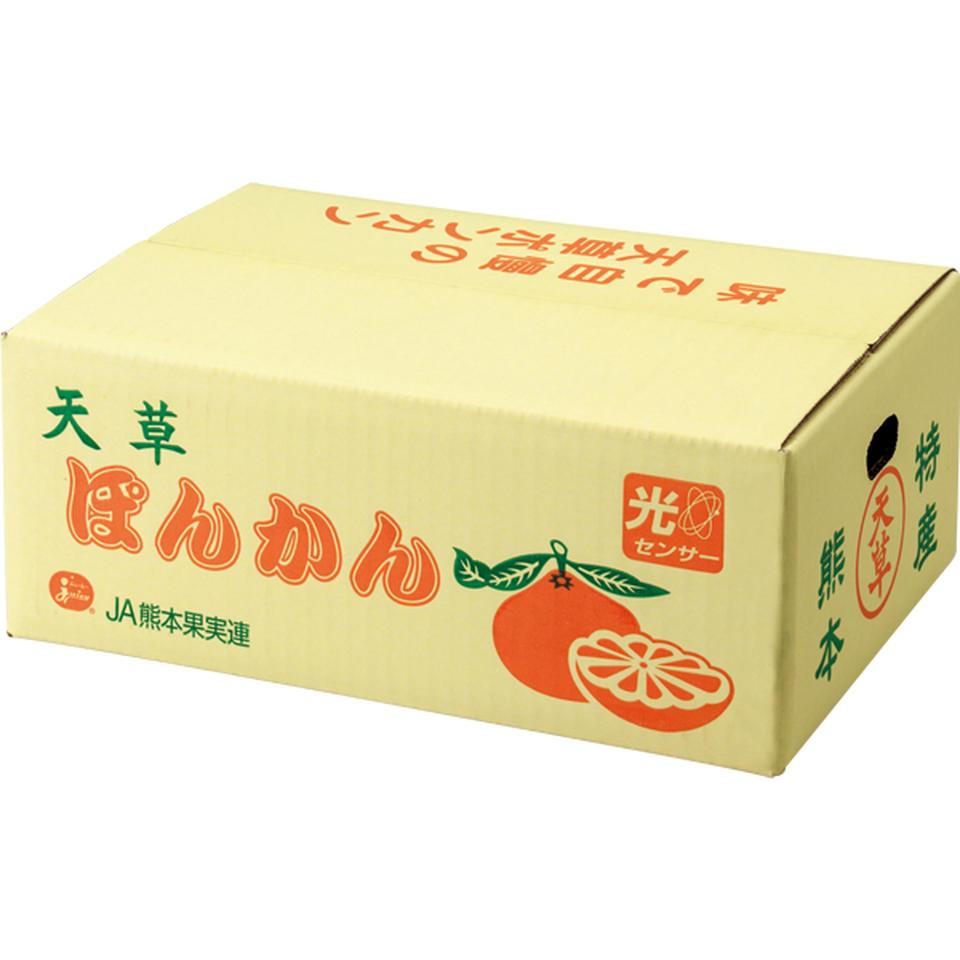 【お歳暮 ギフト早得】熊本県産 天草ポンカン M又はLサイズ、計3.5kg以上 商品画像(2)
