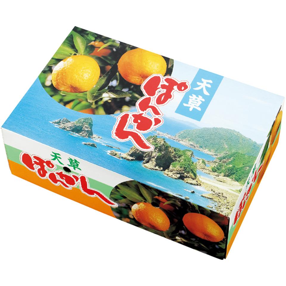 【冬の贈りもの】熊本県産 天草ポンカン（２Ｌサイズ、３０個） 商品サムネイル