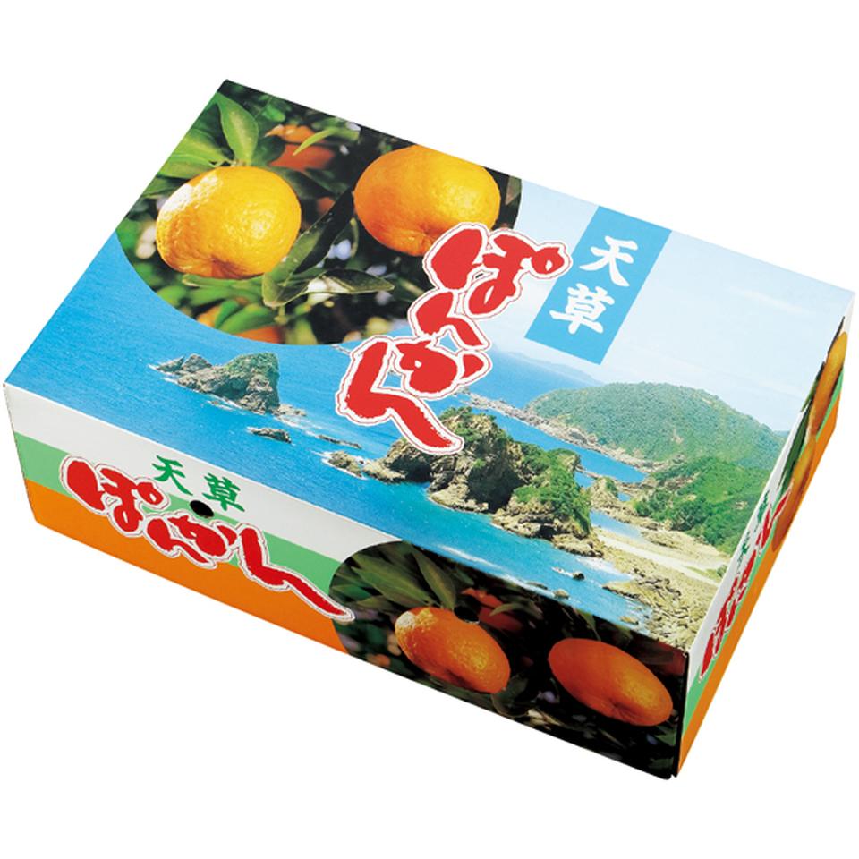 【冬の贈りもの】熊本県産 天草ポンカン（Ｌサイズ、３６個） 商品サムネイル
