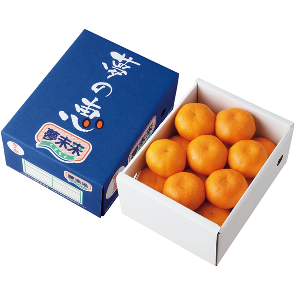 【夏の贈りもの】熊本県産 夢未来ハウスみかん（夢の恵） 商品サムネイル