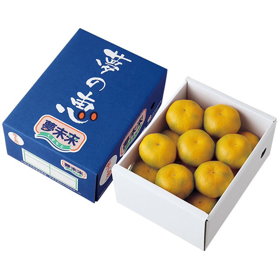 【夏の贈りもの】熊本県産　夢未来ハウスみかん（夢の恵）Ｍ１２個又はＳ１５個、計１．１ｋｇ 商品サムネイル