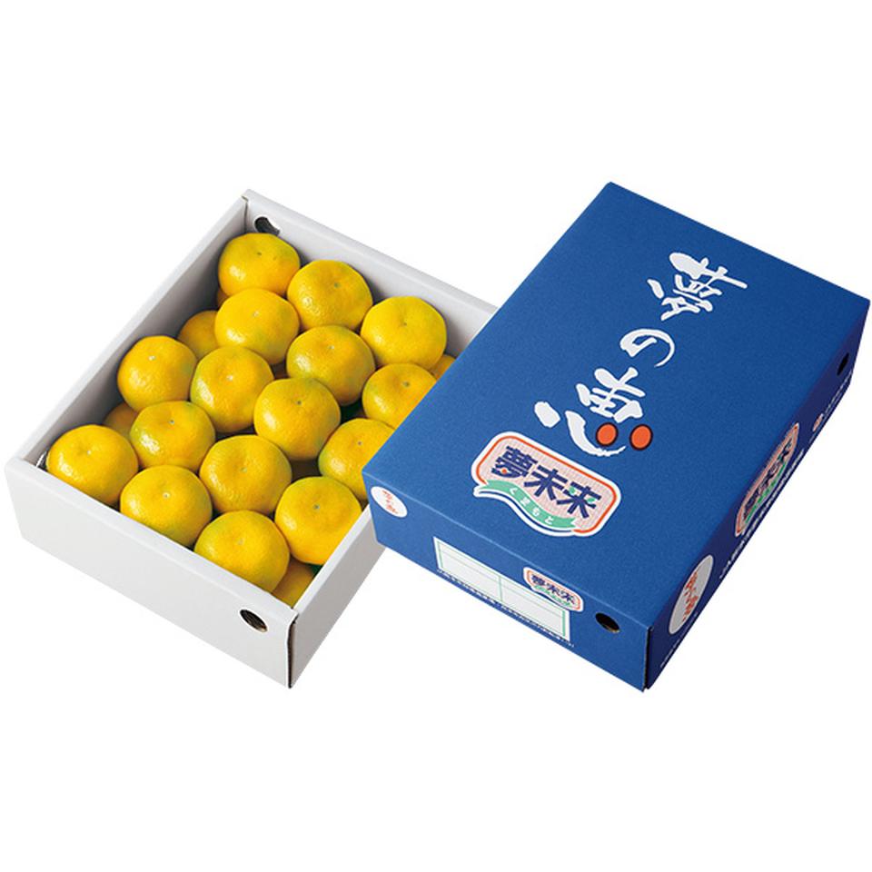 【夏の贈りもの】熊本県産　夢未来ハウスみかん（夢の恵）Ｓ３２個又はＭ５個、計２．４ｋｇ 商品サムネイル