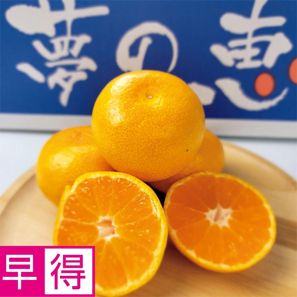 【お歳暮 ギフト早得】熊本県産 夢未来みかん　夢の恵 Ｓ又はＭ又はＬサイズ、計２．８ｋｇ以上 商品サムネイル