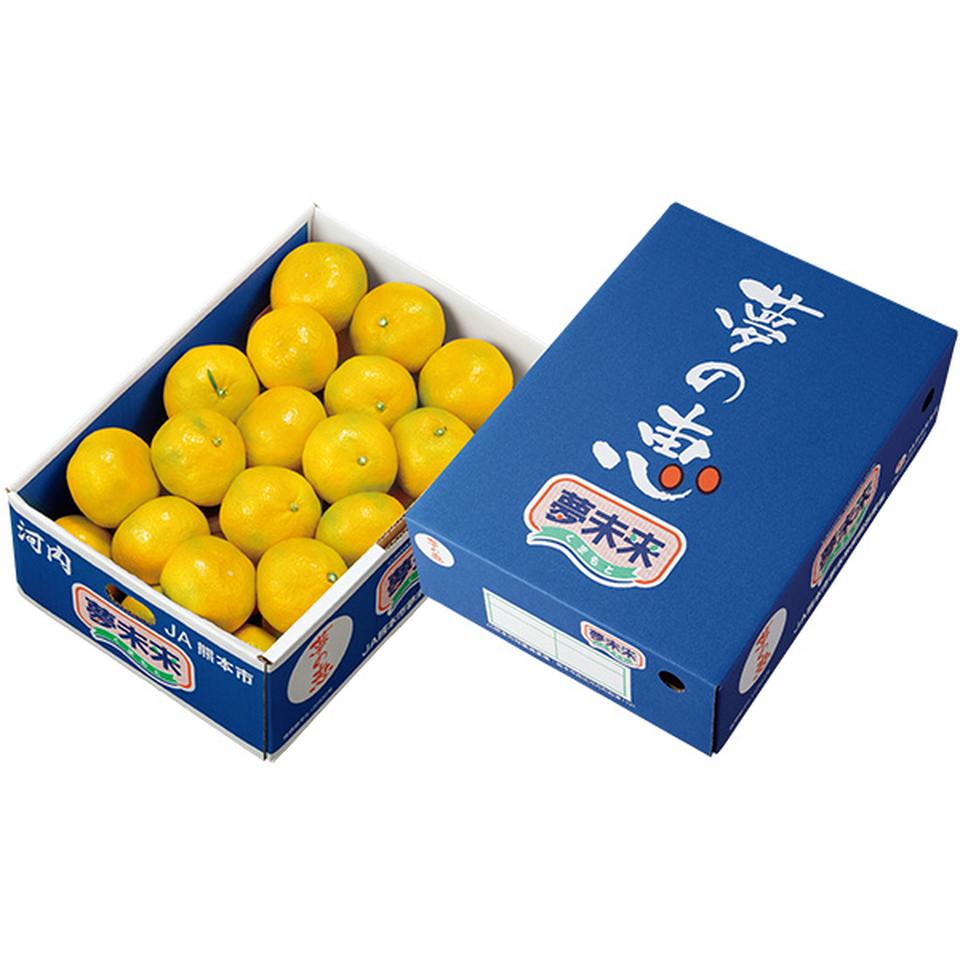 【夏の贈りもの】熊本県産　夢未来ハウスみかん（夢の恵）Ｌサイズ２１個、計２．４ｋｇ 商品サムネイル