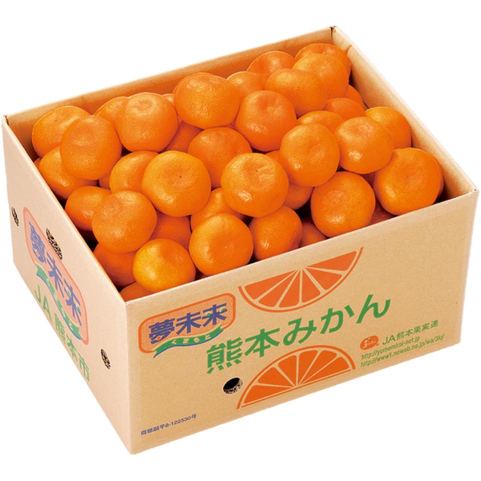 【冬の贈りもの】熊本県産 夢未来みかん 商品サムネイル