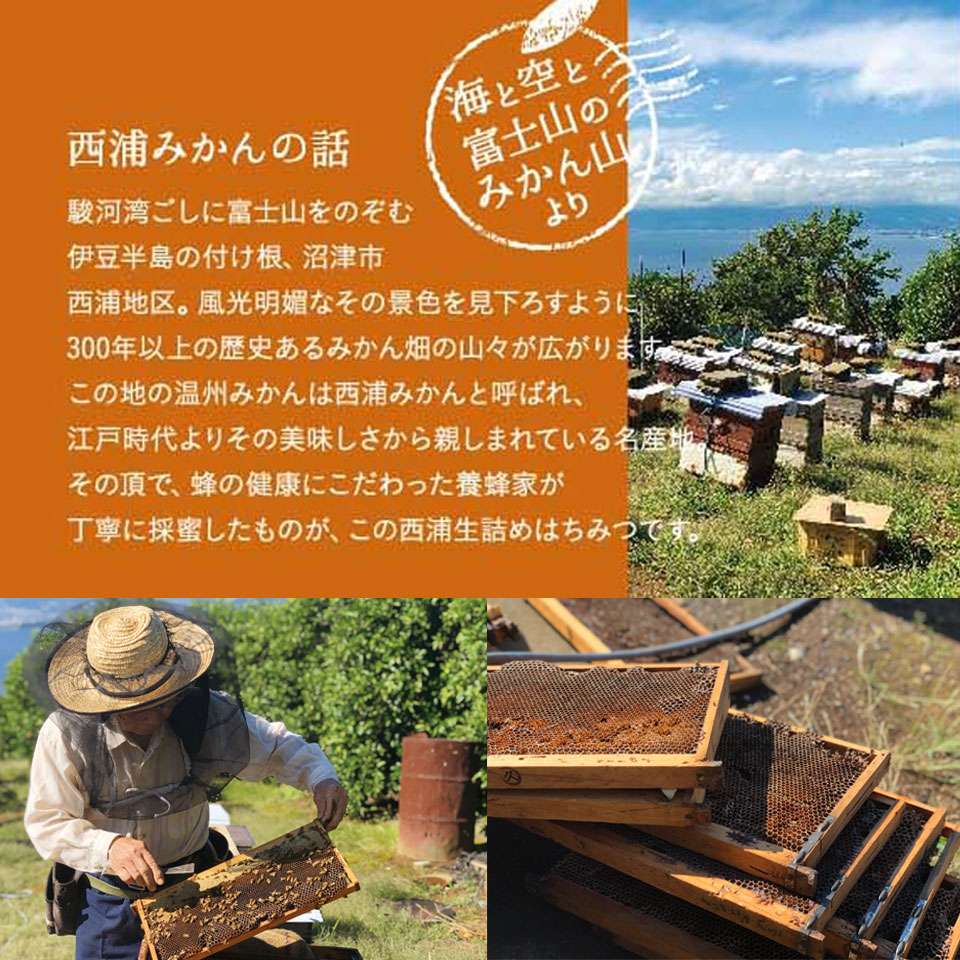 【静岡沼津】西浦生詰めはちみつ2本セット 商品画像(1)
