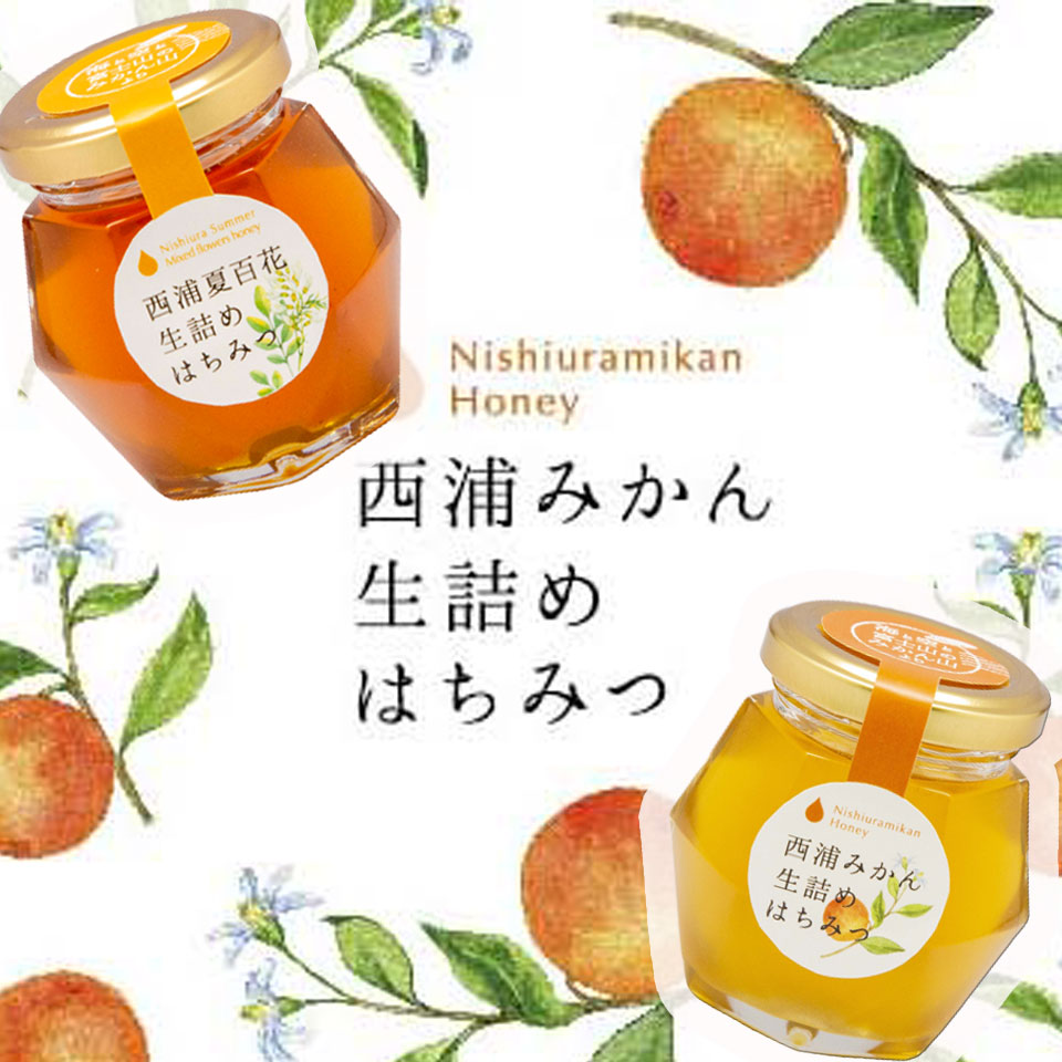 【静岡沼津】西浦生詰めはちみつ2本セット 商品画像(3)