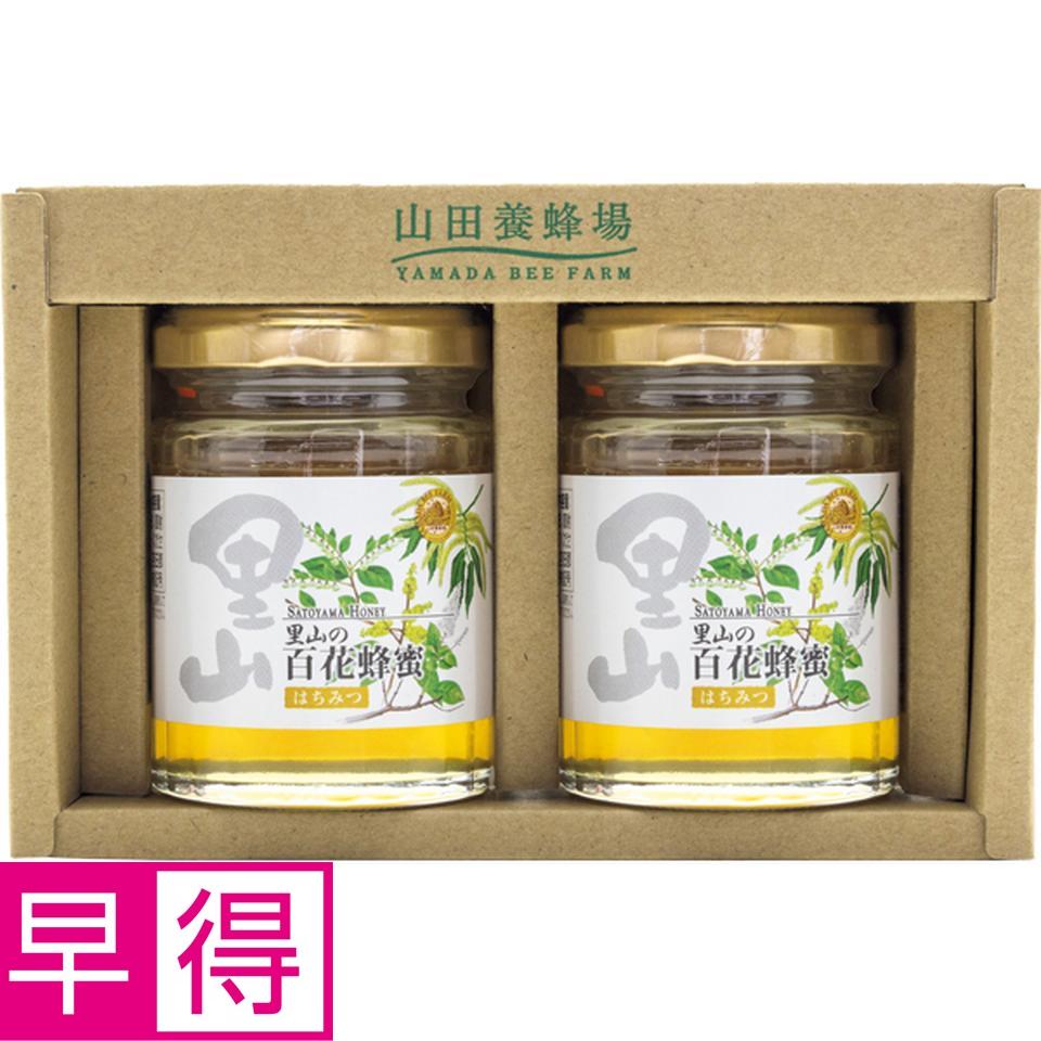 【お歳暮 ギフト早得】山田養蜂場 国産蜂蜜２本セット 商品サムネイル