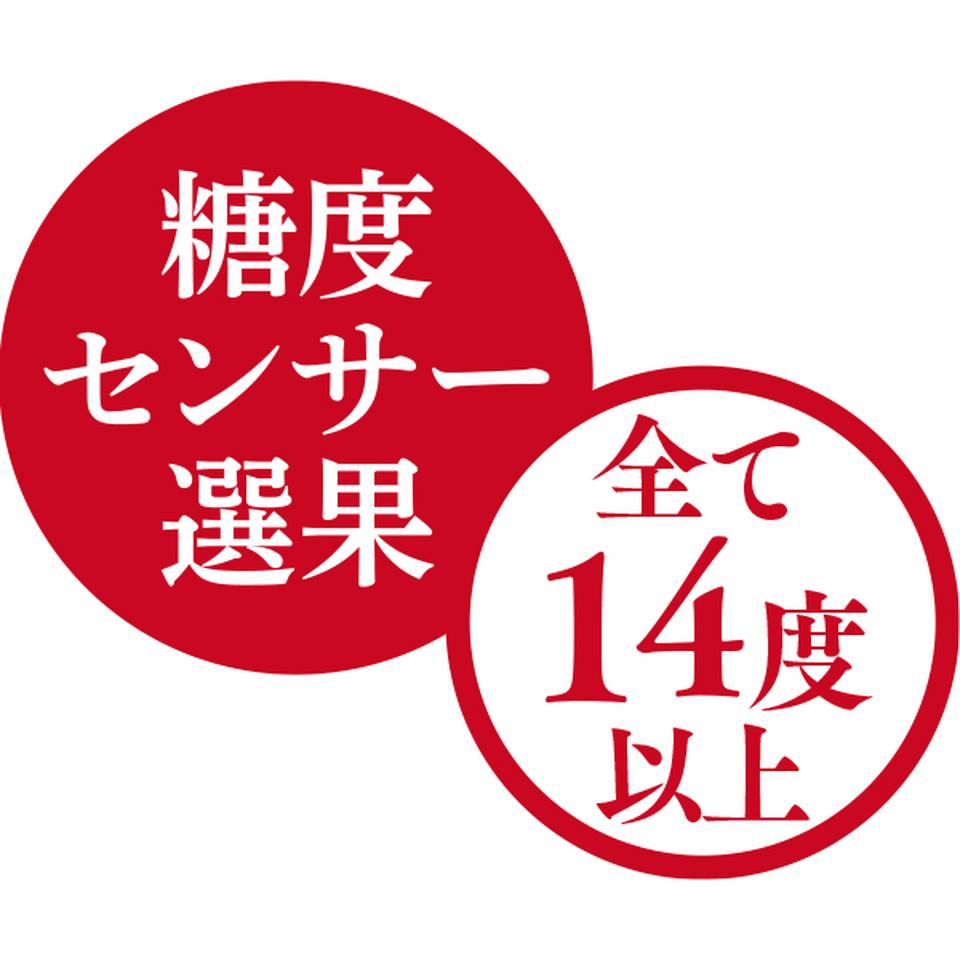 【お歳暮 ギフト】青森県産 高糖度 サンふじりんごとぐんま名月とシナノゴールド詰合せ 商品画像(1)
