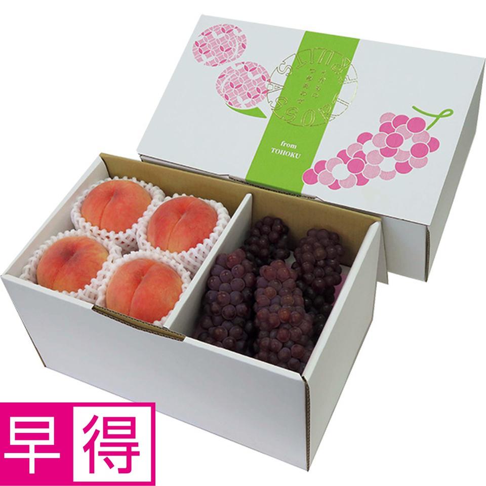 【夏の贈りもの早得】山形県産・福島県産　東北・夏のフルーツセット（２種） 商品サムネイル